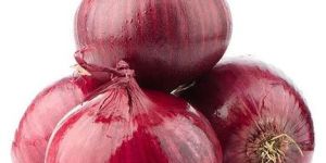 a Grade Red Onion
