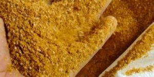 DDGS Maize Powder