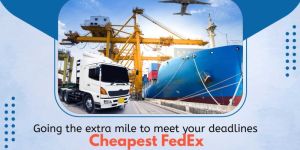 Export Import Logistics
