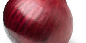 Fresh Red Onion