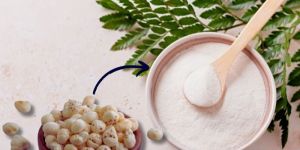 Makhana Powder