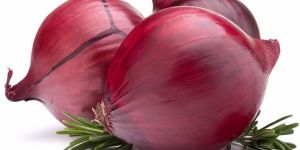 Fresh Red Onion