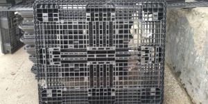 Plastic Pallets