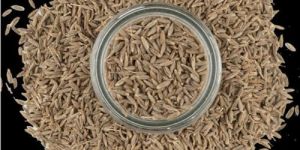 Cumin Seeds