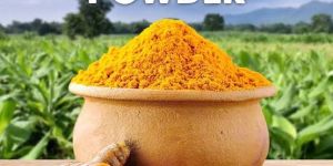 Organic Turmeric Powder