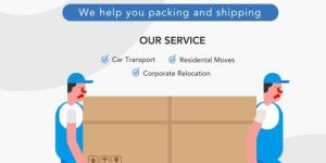 Packers Movers