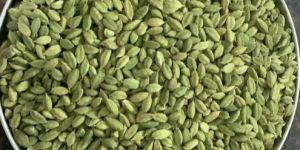 Green Cardamom