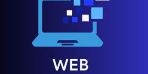 Ecommerce Website Development