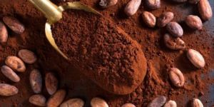 Cocoa Powder