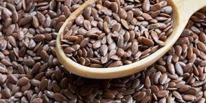 Flax Seeds