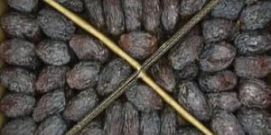 Medjool Dates
