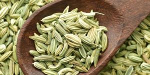 Fennel Seeds