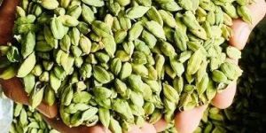 Green Cardamom