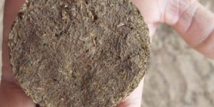 Pure Cow Dung Cake