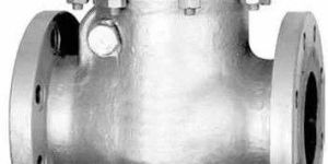 Cast Steel Check Valve