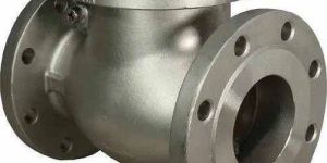 Stainless Steel Swing Type Check Valve