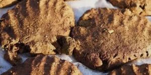 Cow Dung Cake