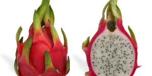 Dragon Fruit