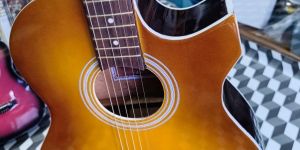 Indian Rosewood Guitar