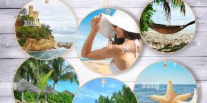 Domestic Tour Operators