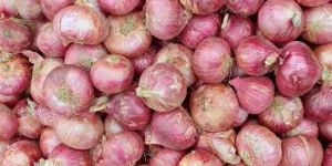Onions