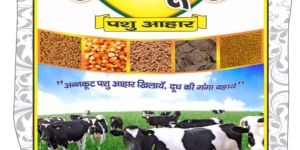 Multi Grain Cattle Feed