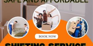 Local Shifting Services