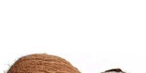 Fresh Indian Coconuts