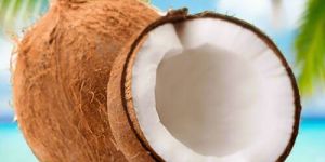 Fresh Coconut