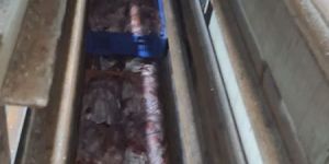 Halal Frozen Whole Chicken