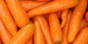 Fresh Carrot