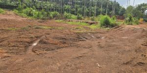 Agriculture Land Sale