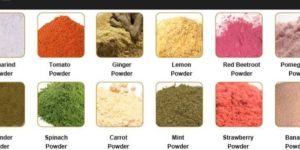 Dried Vegetable Powder