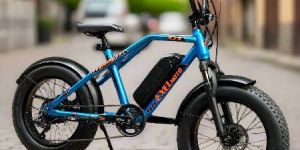 EXELmoto Electric bicycle - E1X- Sky