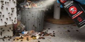 House Flies Control Services