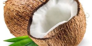 Coconut
