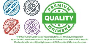ISO Consultant