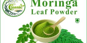 Moringa Powder