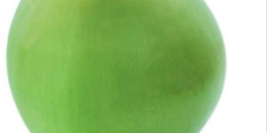 Green Tender Coconut