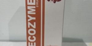 Ecozyme Digestive Syrup