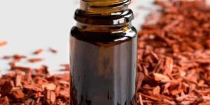 Red Sandalwood Essential Oil