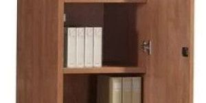 Brown Office Wardrobe Cabinet