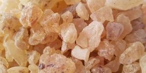 Pharma Grade Copal Gum Crystal