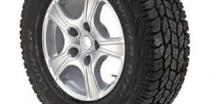 Complete Vehicle Wheel