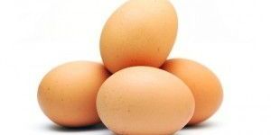 Broiler Hatching Eggs