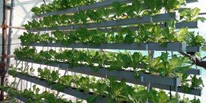T-HYDRO hydroponic systems