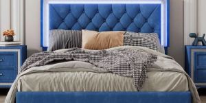 Modern Platform Bed with LED Lighting