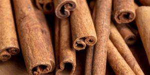 Cinnamon Ceylon