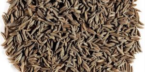 Cumin Seed Whole