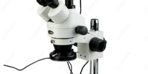Zoom Stereo Microscope